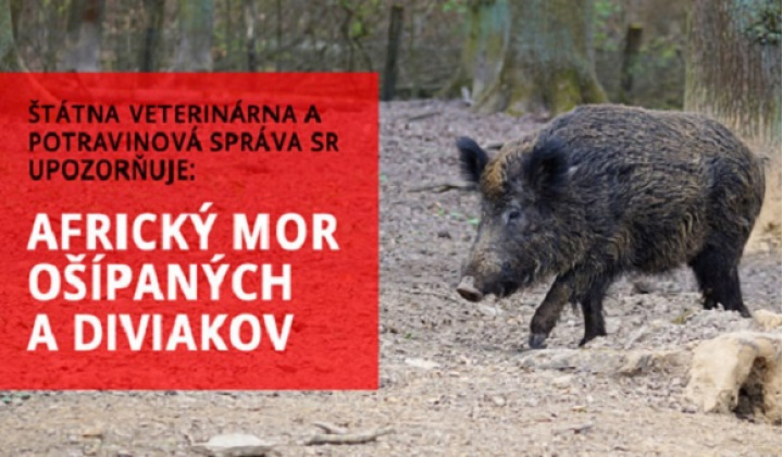 Africkí mor ošípaných